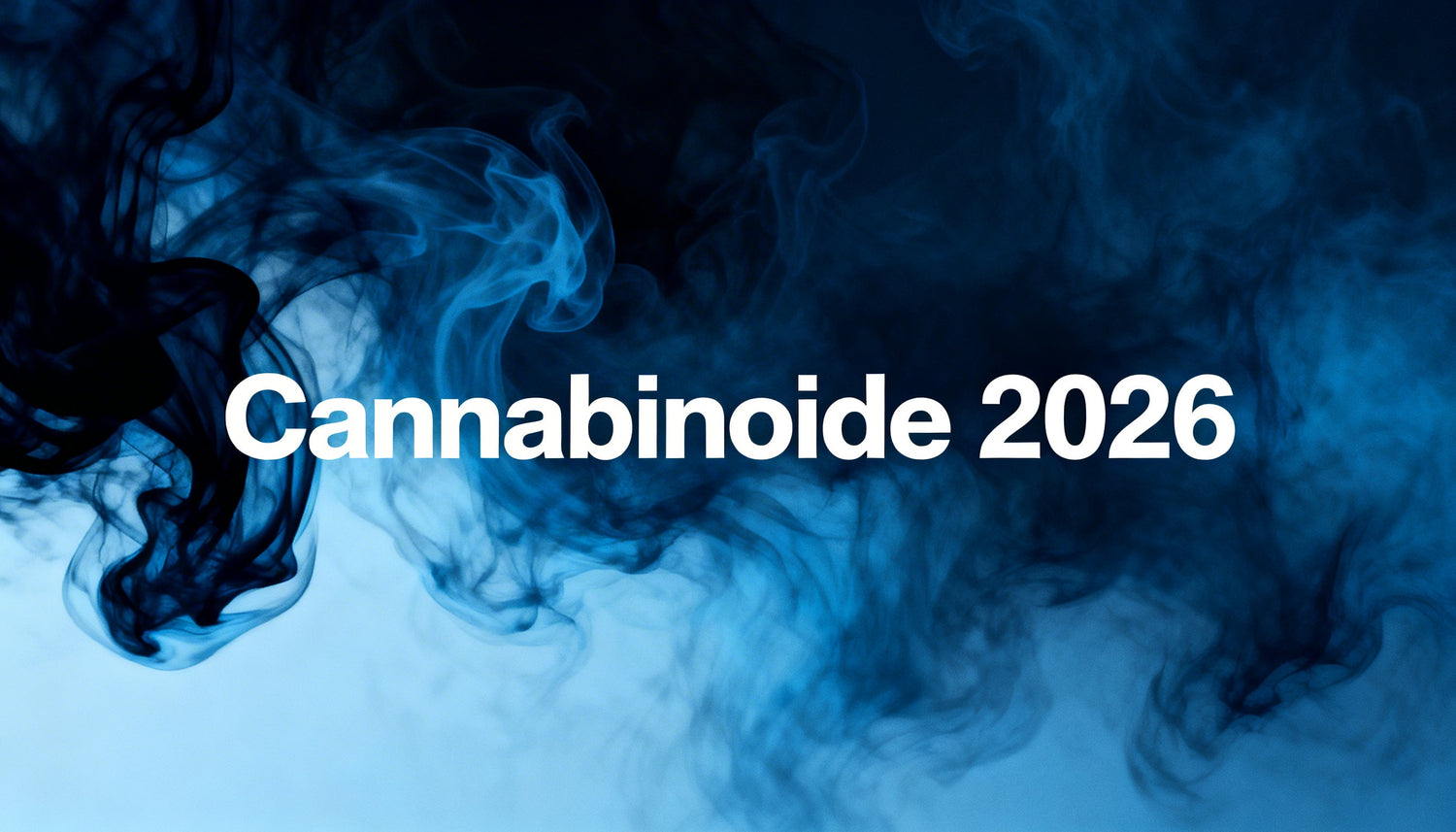 Cannabinoids legal in Germany in 2026 – The current overview