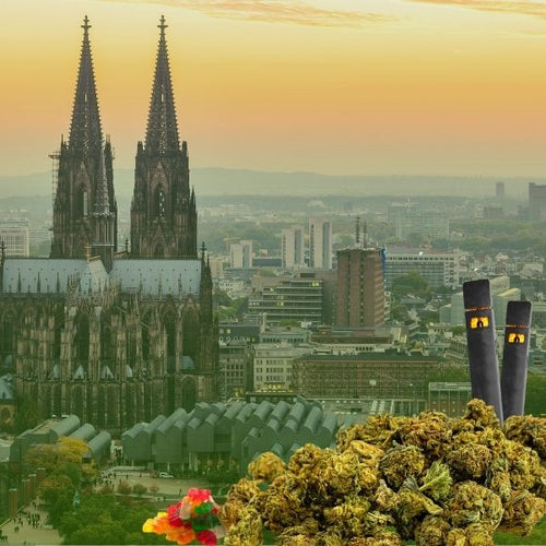 Cannabis_kaufen_Koln_0d729aae-19c0-490c-adab-cbe2b9e210ef-HHC VAPES