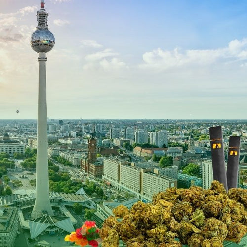 Cannabis_kaufen_berlin_1fbdeb40-5c6a-4dc2-9b3d-185b56886e20-HHC VAPES