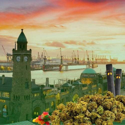 Cannabis_kaufen_hamburg_9cb502b2-4853-45e3-9c12-6cb8e70c5f2e-HHC VAPES