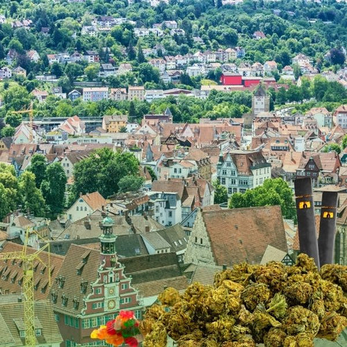 Cannabis_kaufen_stuttgart_55026db6-3537-4b38-adc4-c19edfa38f7c-HHC VAPES