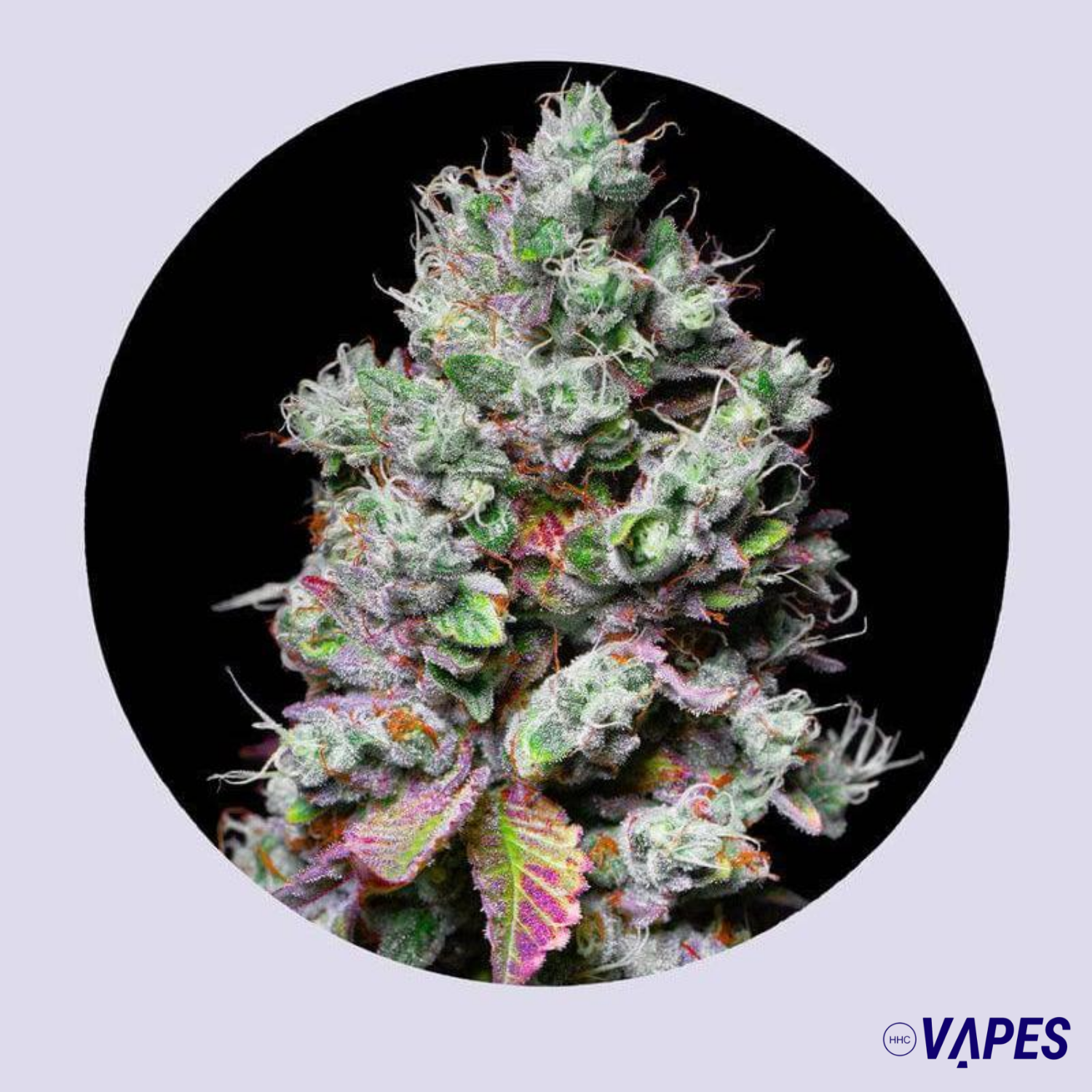 Mochi 28% THC - Feminizada Vaper HHC