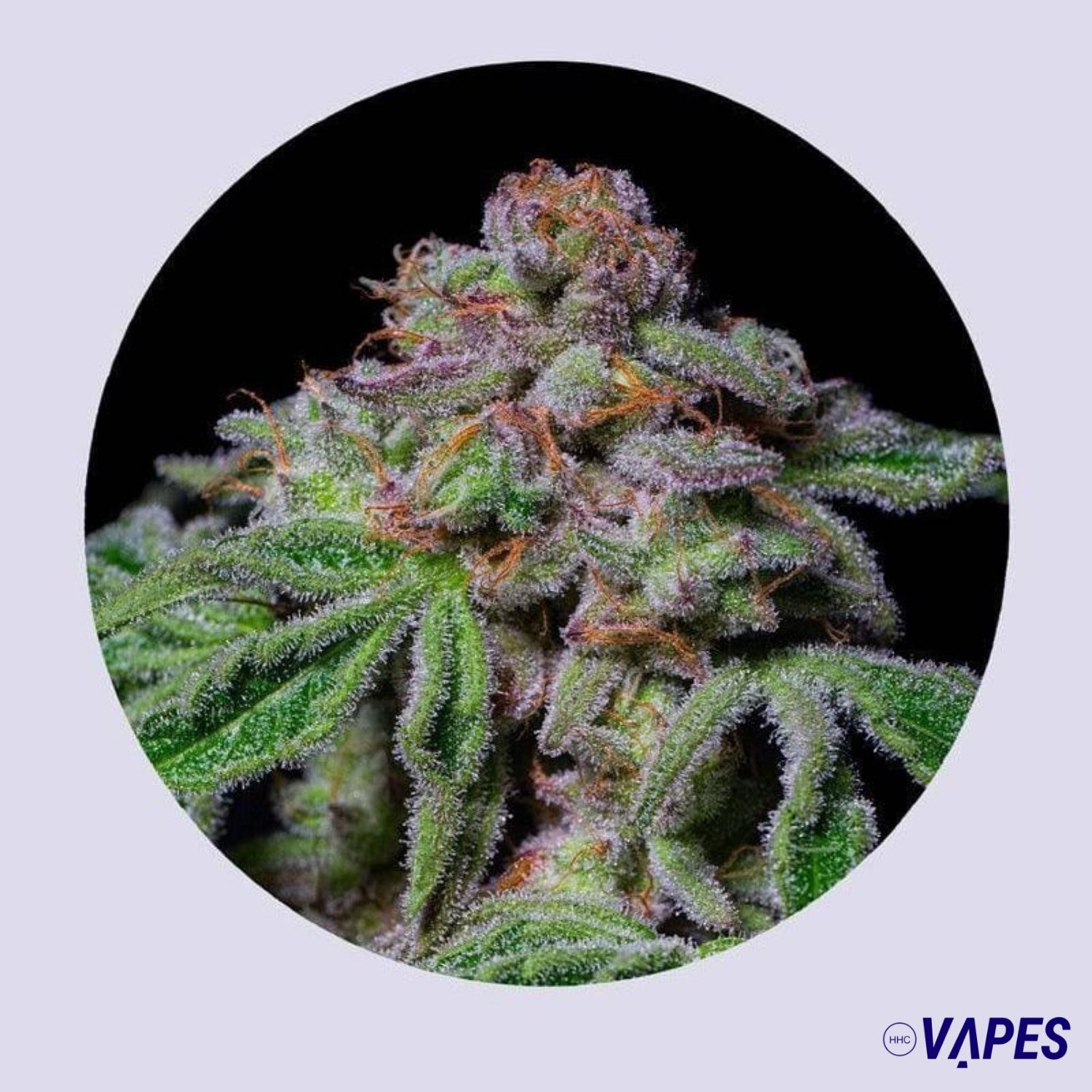 Sour Aloha 28% THC - Feminizada Vaper HHC