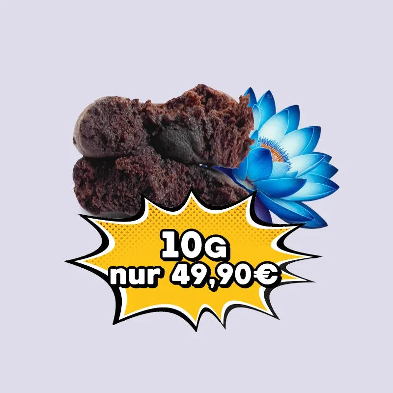 Blå Lotus Hasch 10g bara 49,90 HHCVapes