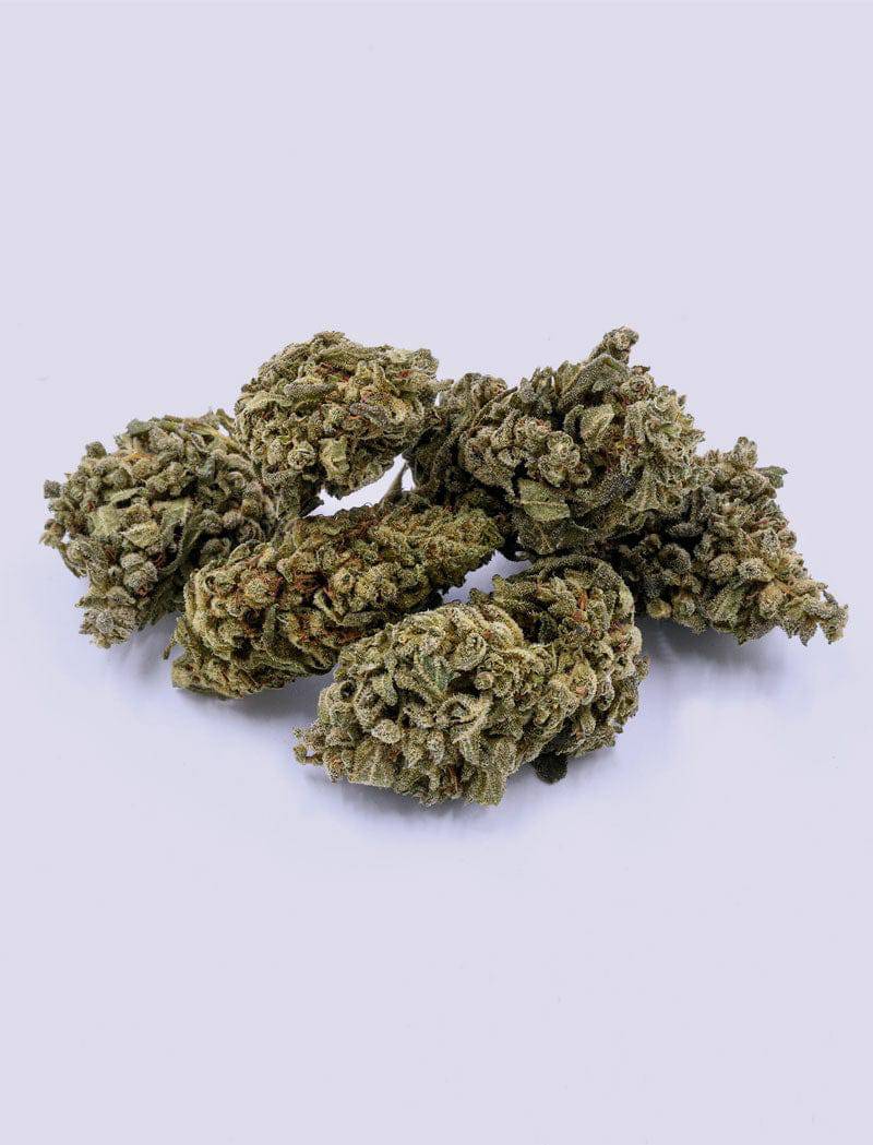 CBD-Blüte - Blueberry Yum Yum - HHC VAPES