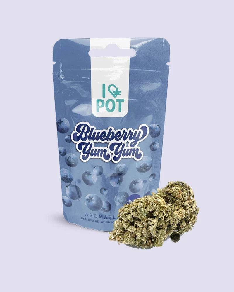 CBD-Blüte - Blueberry Yum Yum - HHC VAPES