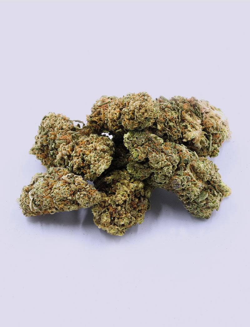 CBD-Blüte - Harlequin - HHC VAPES