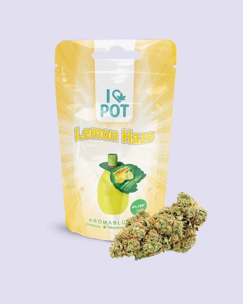 CBD-Blüte - Lemon Haze - HHC VAPES