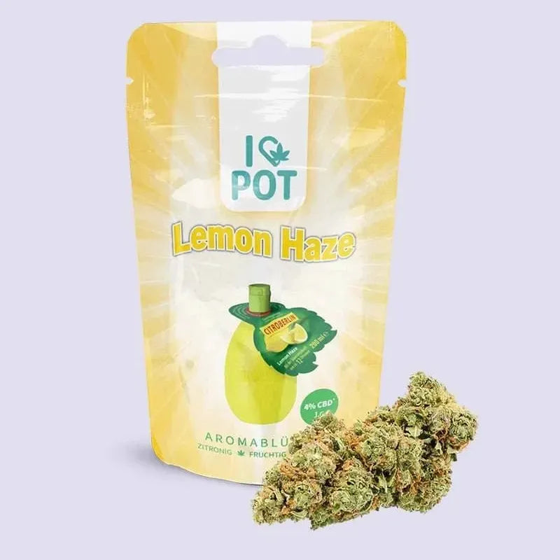 CBD-Blüte - Lemon Haze - HHC VAPES