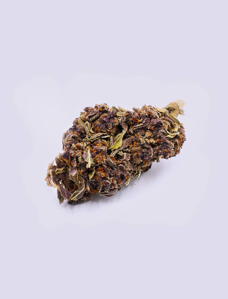 CBD-Blüte - Purple Haze - HHC VAPES