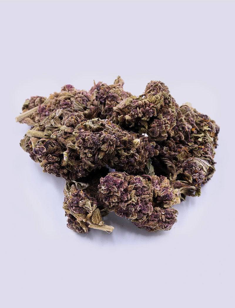 CBD-Blüte - Purple Haze - HHC VAPES