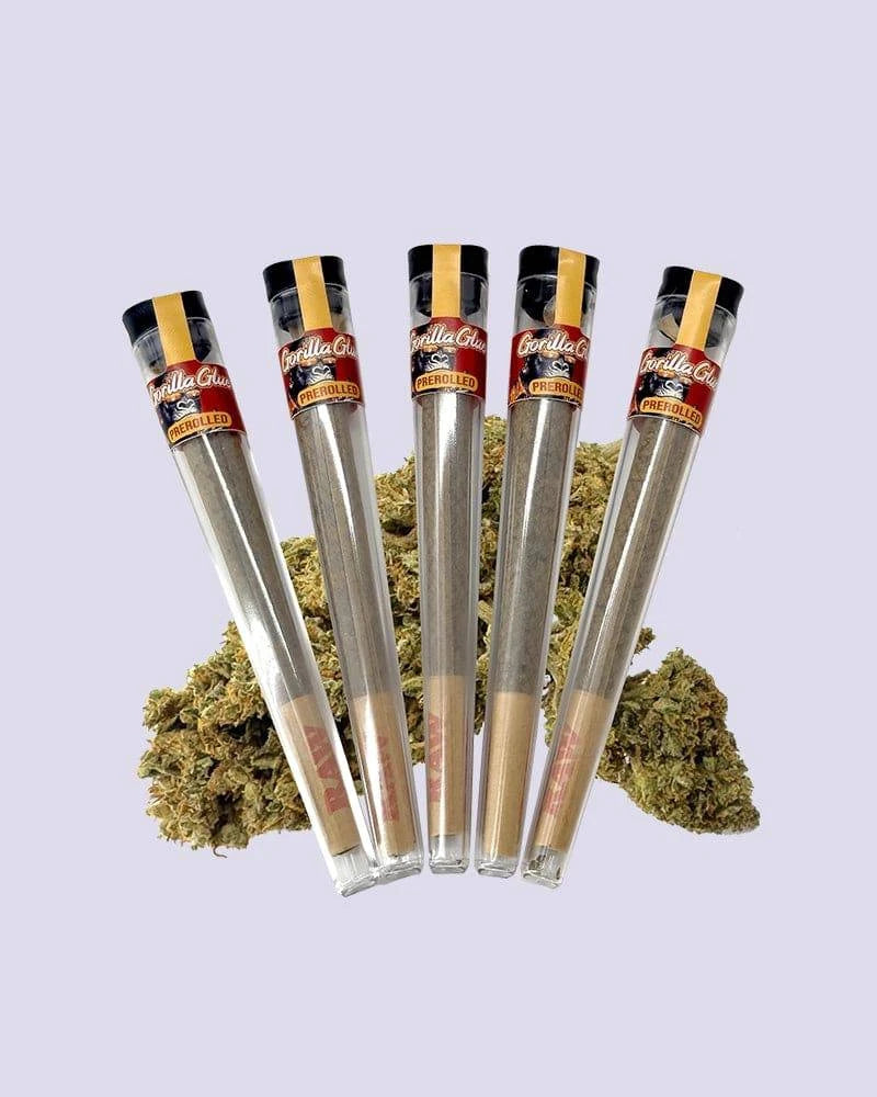 Prerolled Joint HHZ Blüten Gorilla Glue