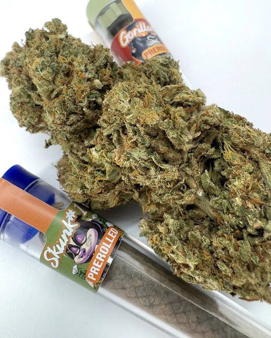 HHZ Pre-Roll - Skunk #1 - HHC VAPES