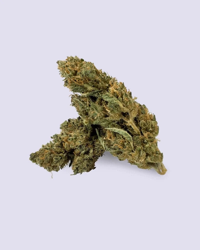 HHZ Premium Blüte - Super Silver Haze - HHC VAPES