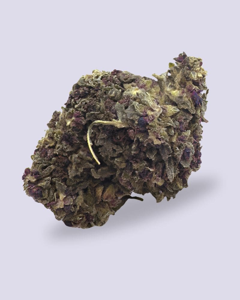 I Love Pot CBH Blüte - Purple Haze 33%