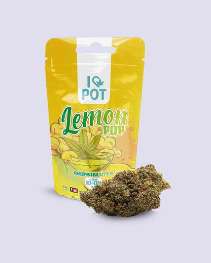 10-OH-HHC Blüte V2 - Lemon Pop