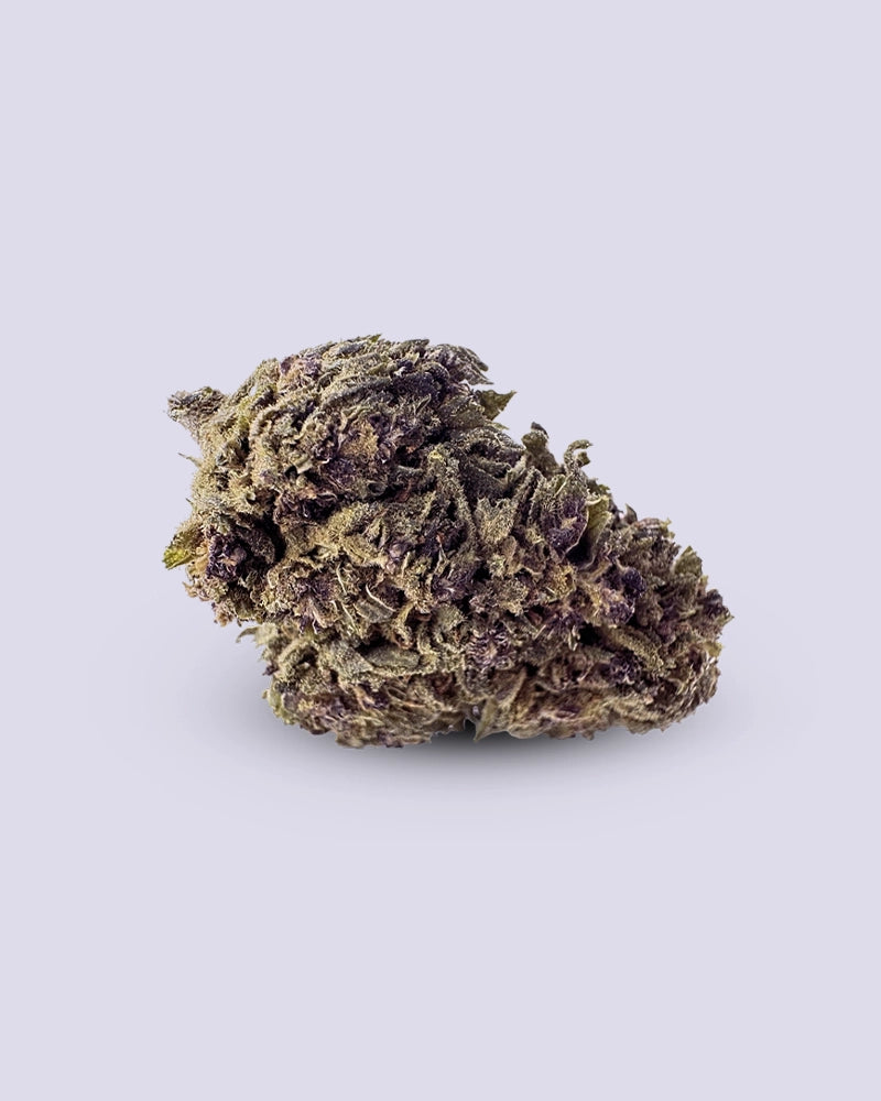 Purple Haze HHC flower