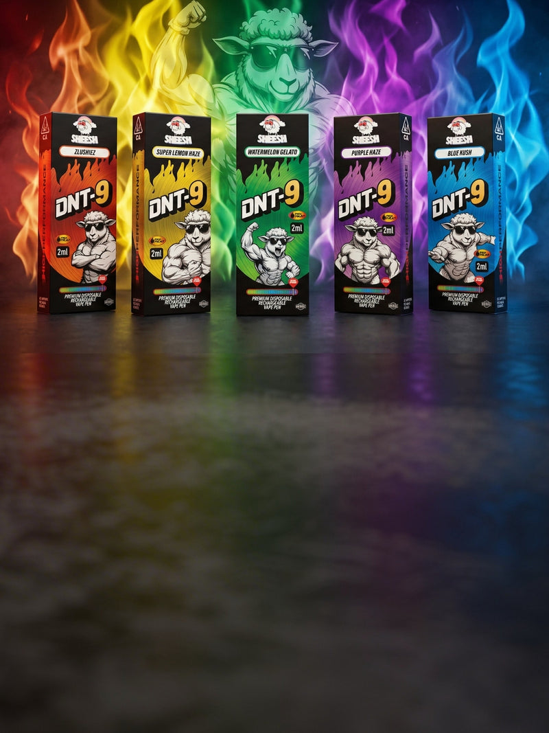Sheesh_DNT9_banner_mobile