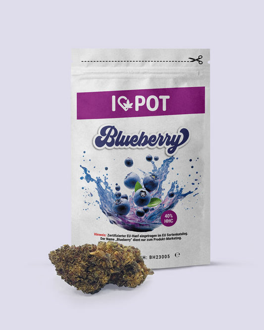 Blueberry HHC-Blüte