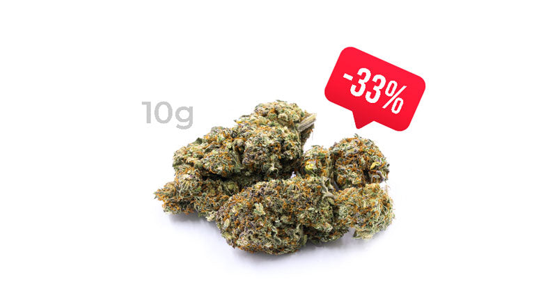 Rabattaktion für HHC-Blüten 10 Gramm