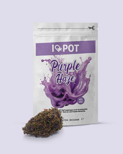 Purple Haze HHC-Blüte