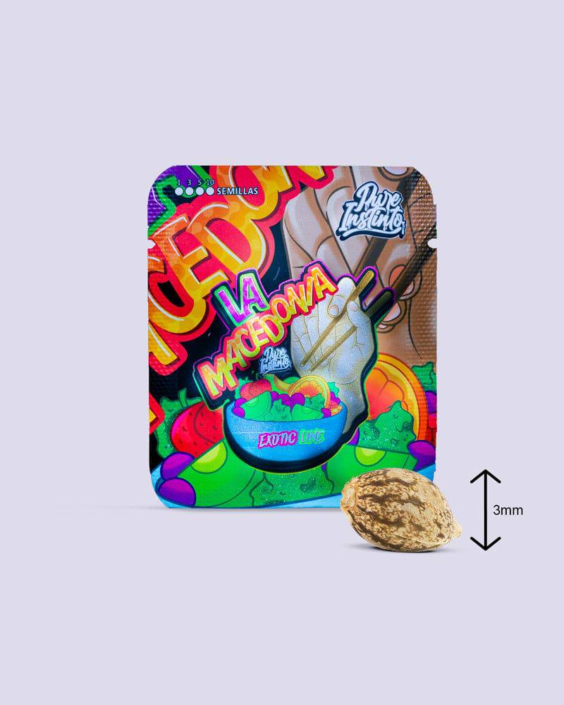 LA Macedonia 28% THC - Feminisiert - HHC VAPES