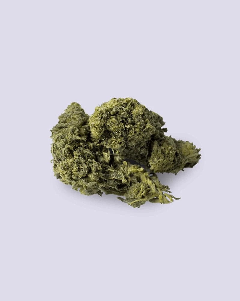 10-OH-HHC Blüte - Girl Scout Cookies - HHC VAPES