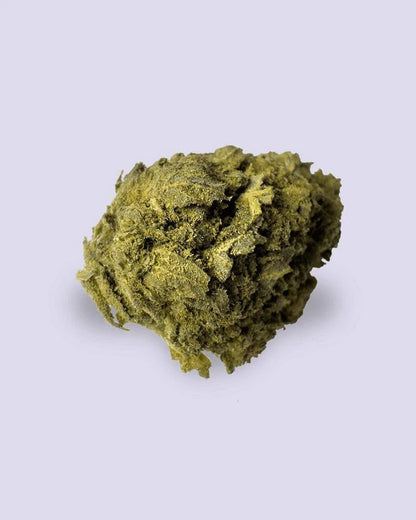 10-OH-HHC Blüte - Lemon OG - HHC VAPES
