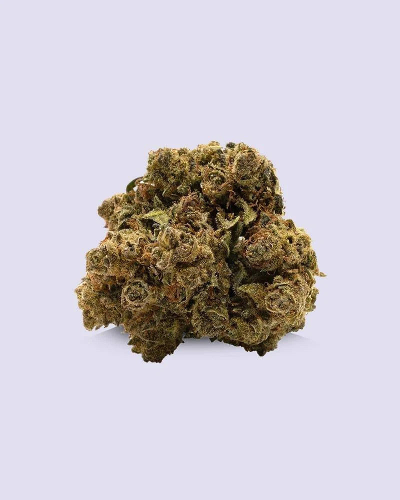 10-OH-HHC Blüte V2 - Gelato - HHC VAPES