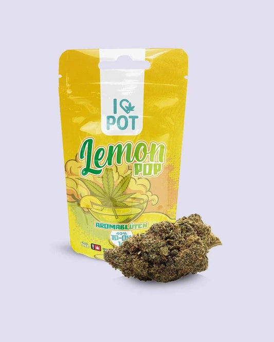 10-OH-HHC Blüte V2 - Lemon Pop - HHC VAPES