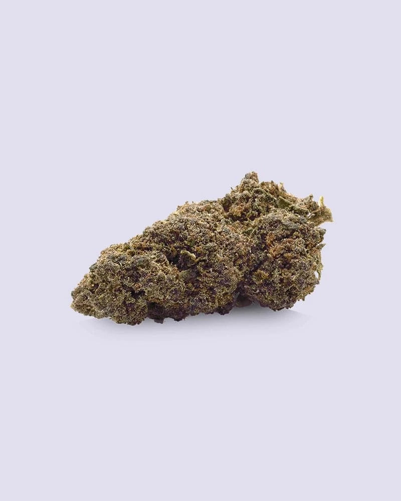 10-OH-HHC Blüte V2 - Purple Haze - HHC VAPES