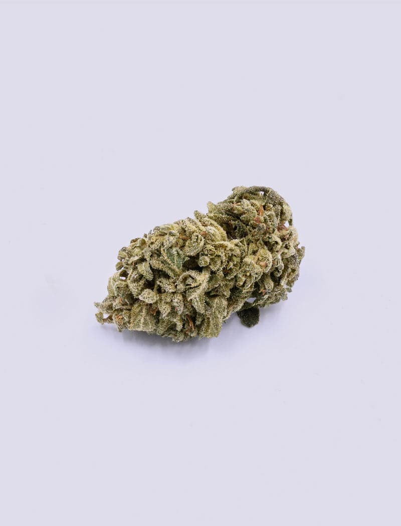 CBD-Blüte - Blueberry Yum Yum - HHC VAPES