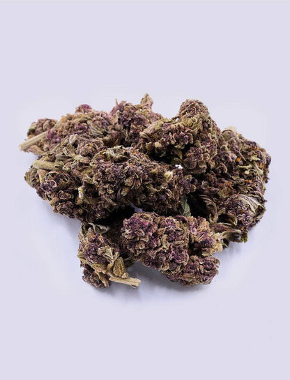 CBD-Blüte - Purple Haze - HHC VAPES