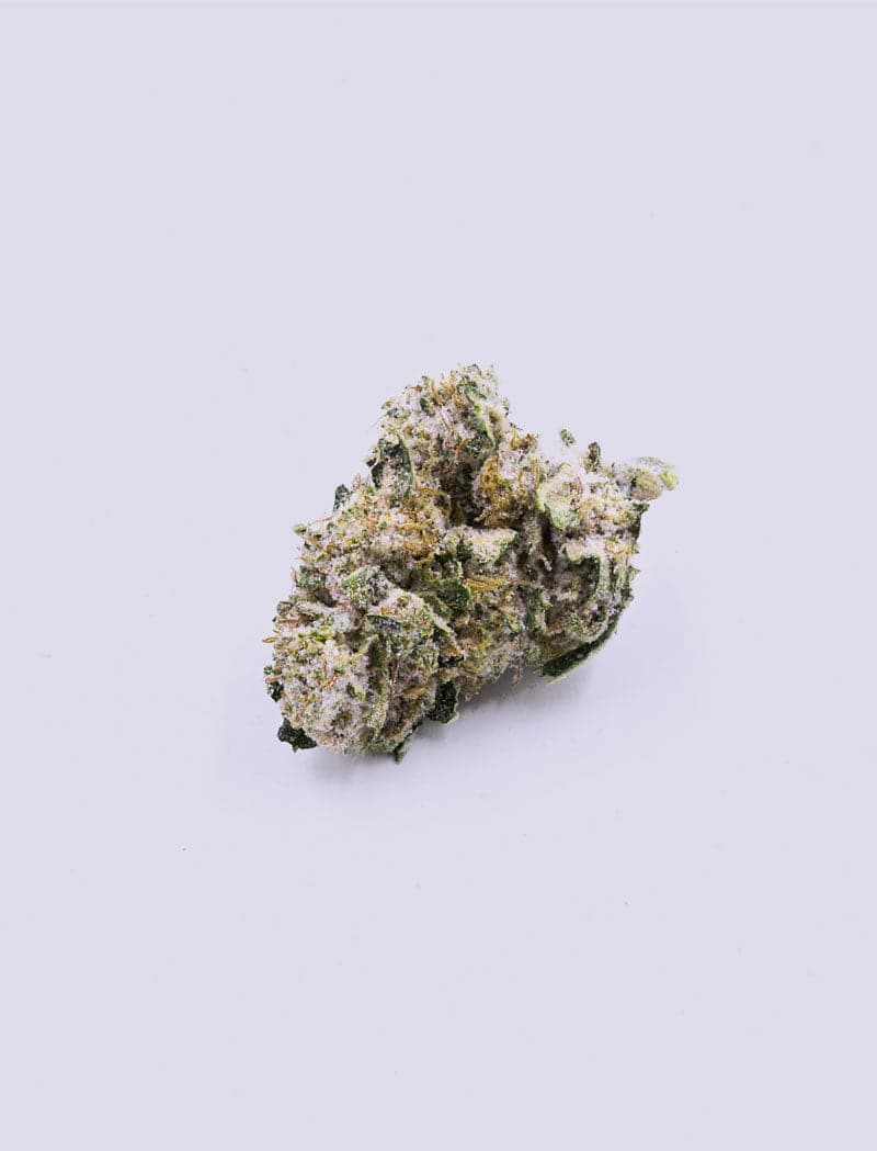 CBD-Blüte - Snow Kush - HHC VAPES