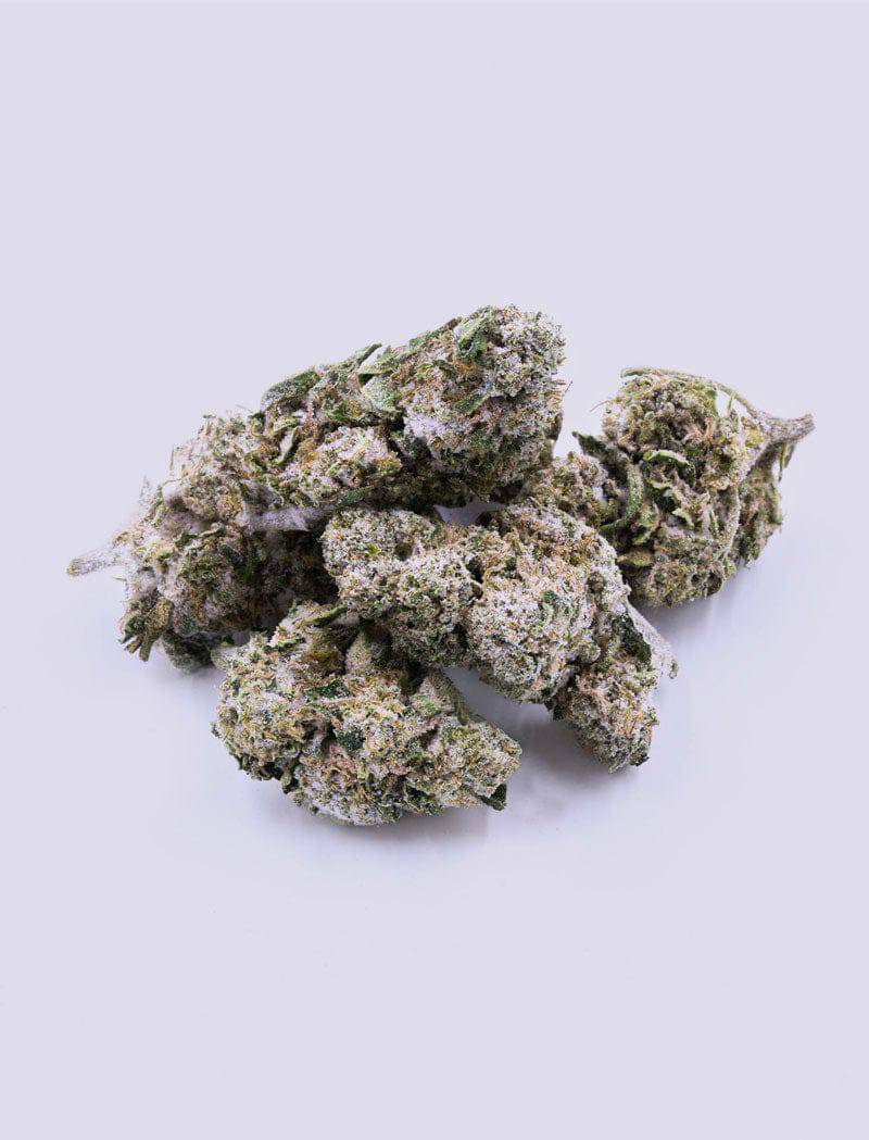CBD-Blüte - Snow Kush - HHC VAPES