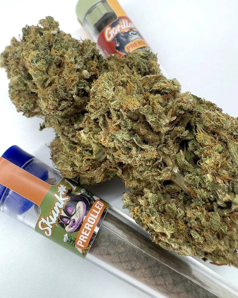 Prerolled Joint HHZ Blüten Skunk #1