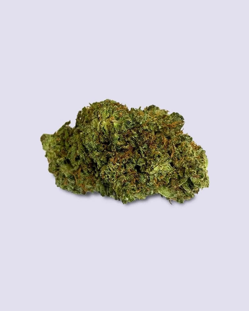 HHZ Premium Blüte - Mango Kush - HHC VAPES