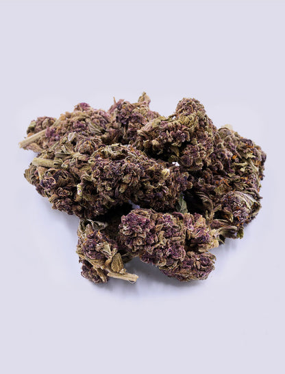 Purple Haze CBD-Blüte