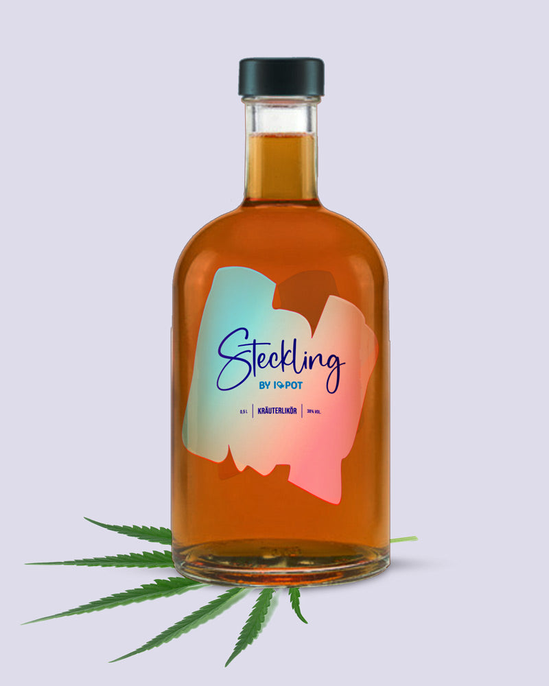 Steckling Cannabis Likör 0,5l