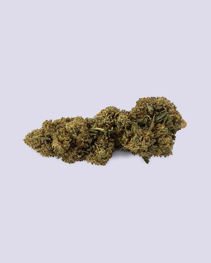 THZ Blüte - Jack Herer - HHC VAPES